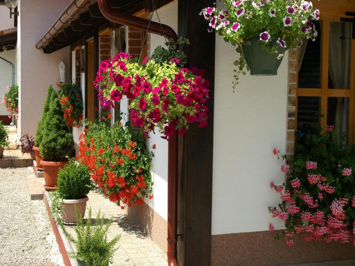 Bed & Breakfast Helena Grabovac  Extérieur photo
